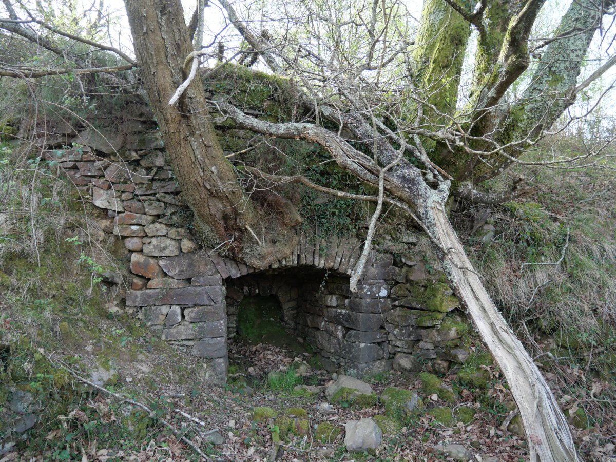 Bagarateko karobia