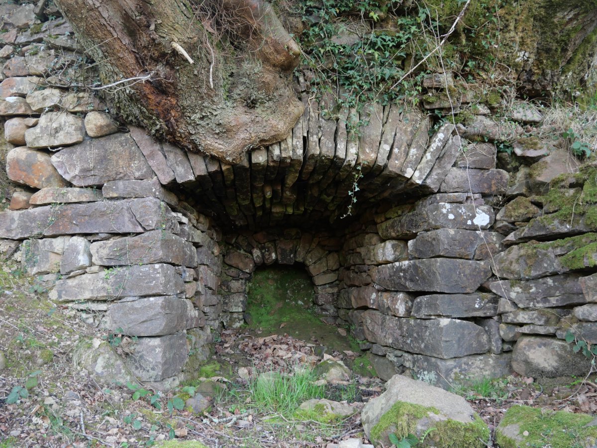 Bagarateko karobia