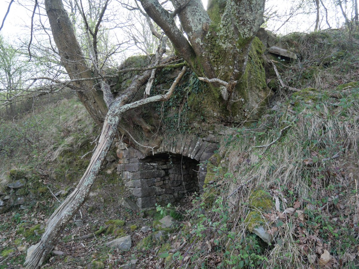 Bagarateko karobia
