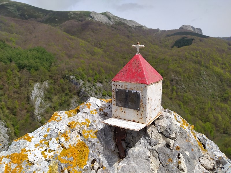 Buzoia