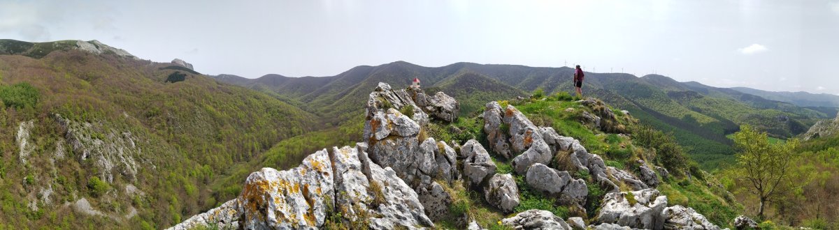 Tontorra