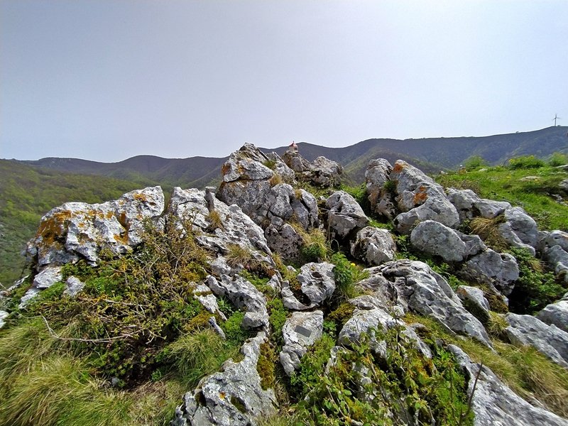 Tontorra
