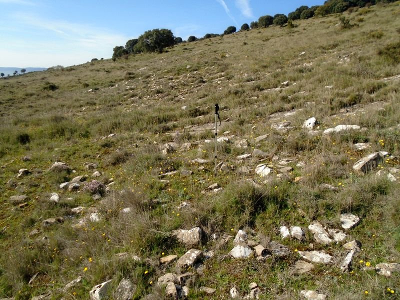 artazkoz 2