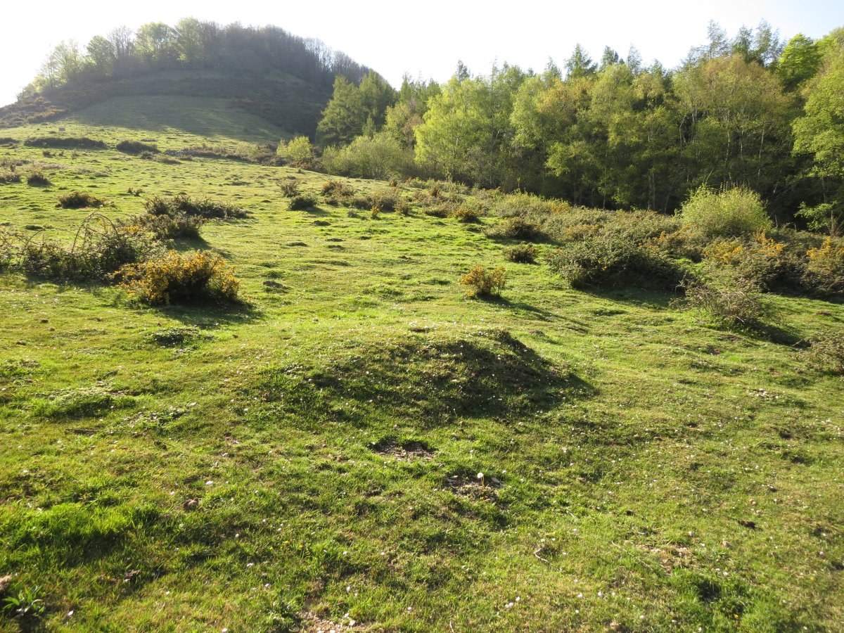 Túmulo OLARAN
