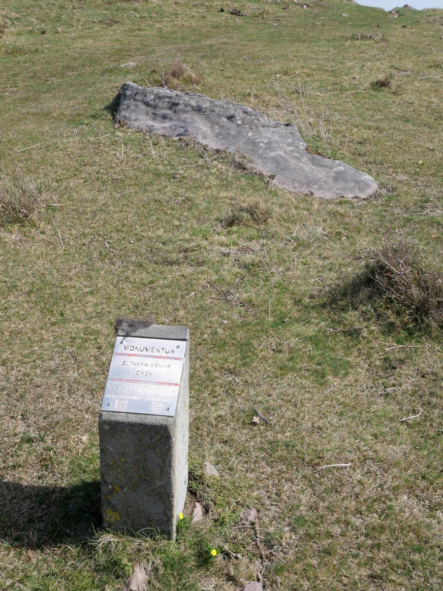 Orizki zutarria
