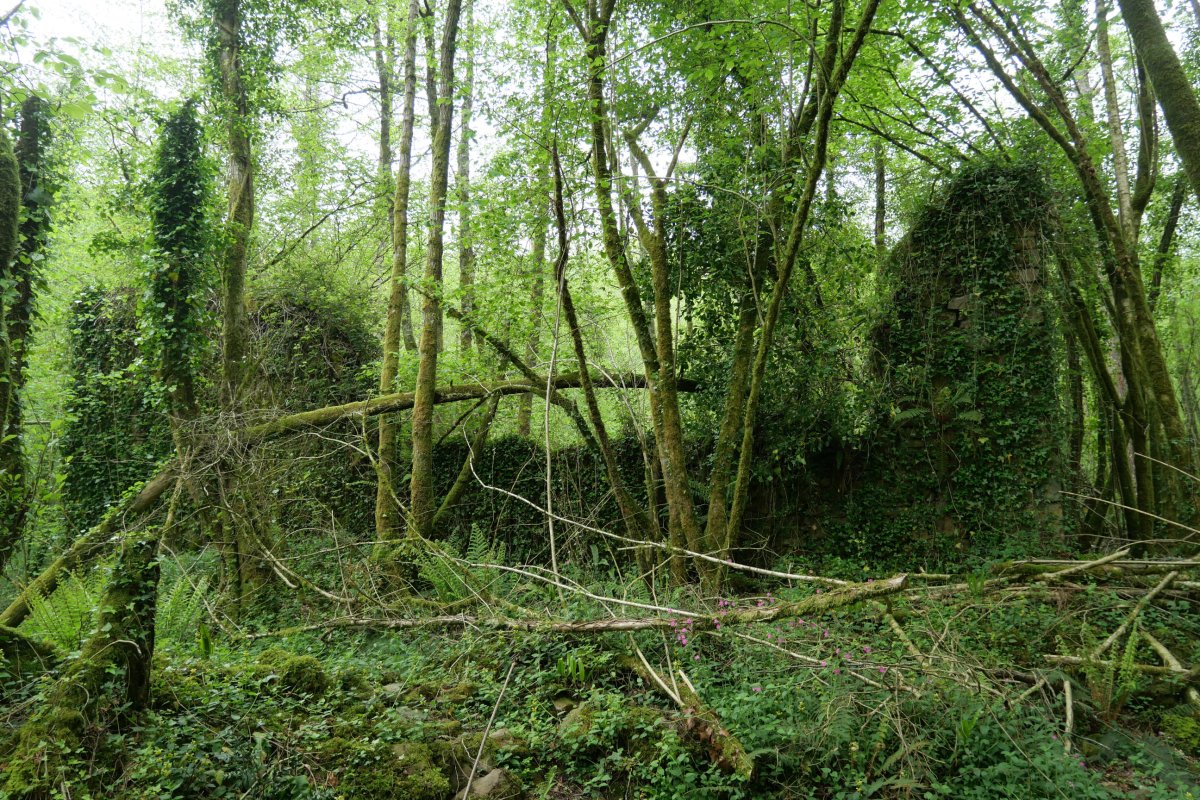 Atxulondo burdinola