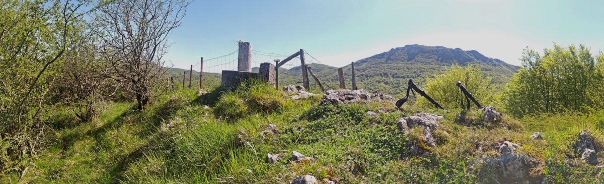 Tontorra