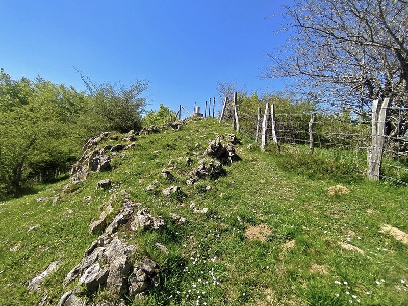 Tontorra