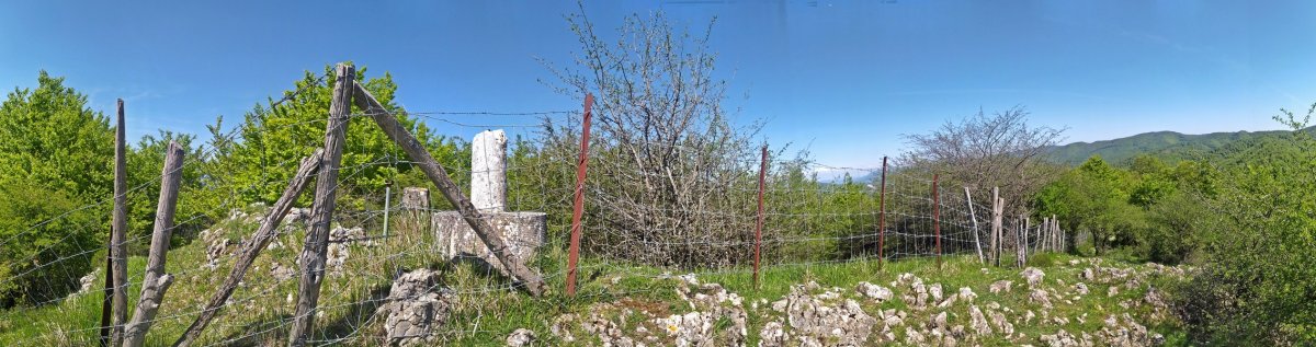 Tontorra