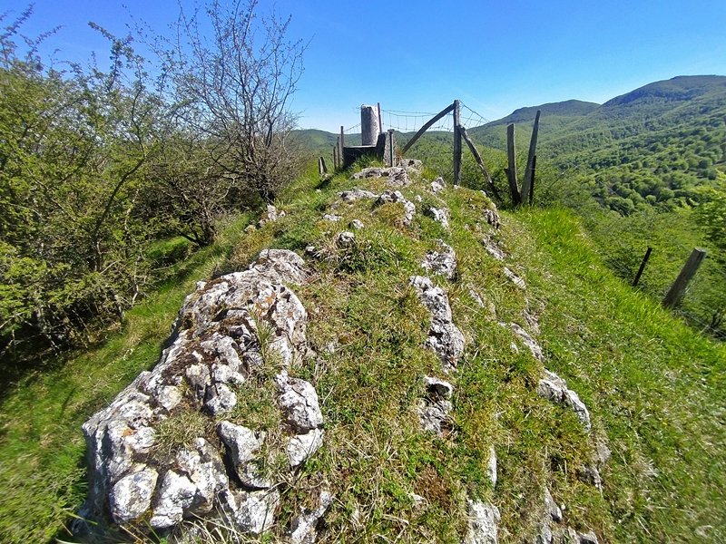 Tontorra