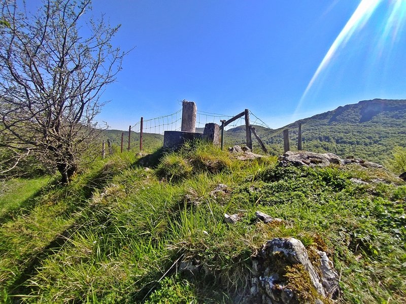 Tontorra