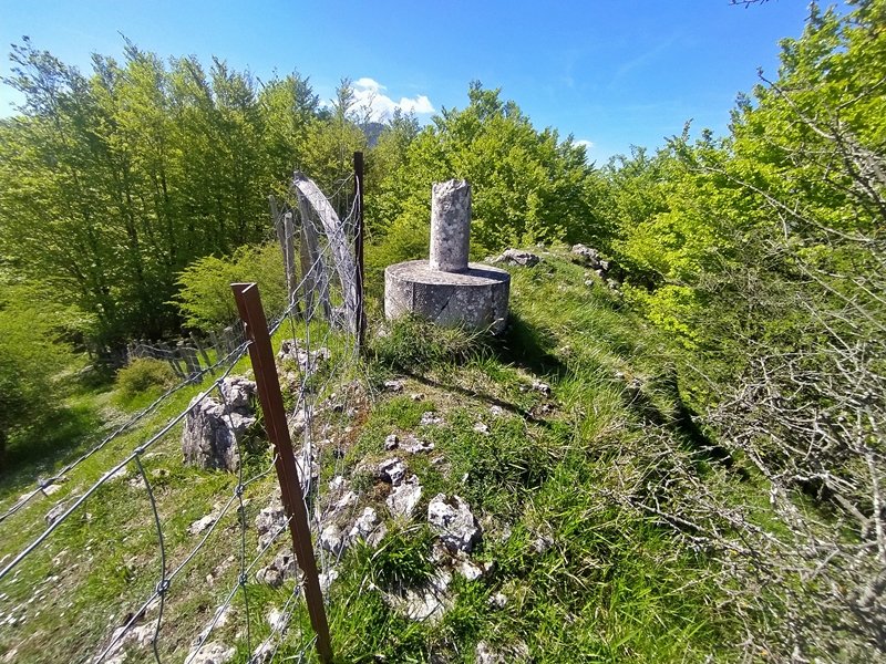 Tontorra