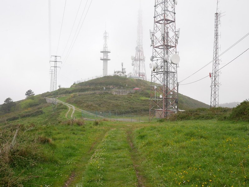 Tontorra
