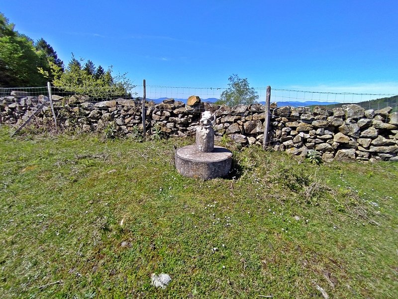 Tontorra