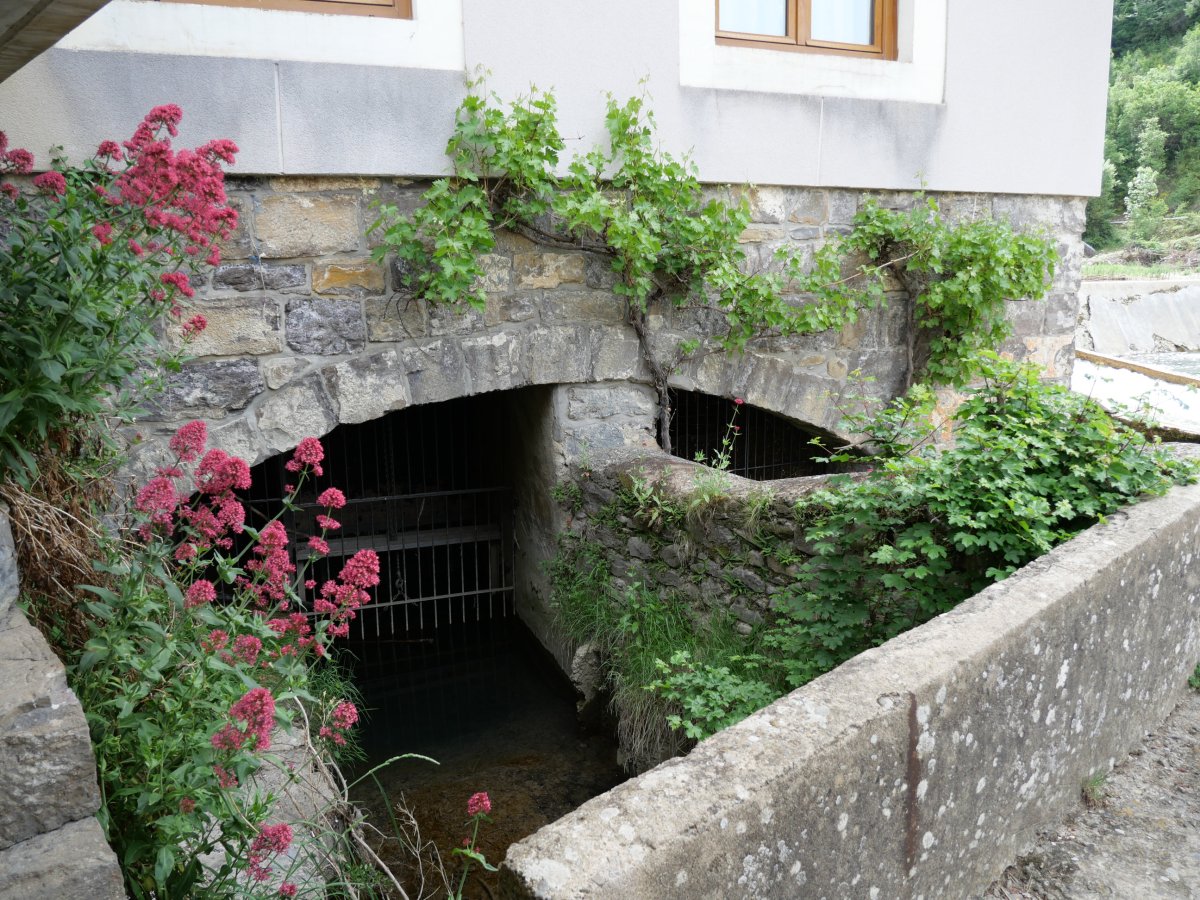 Errota, Burgi