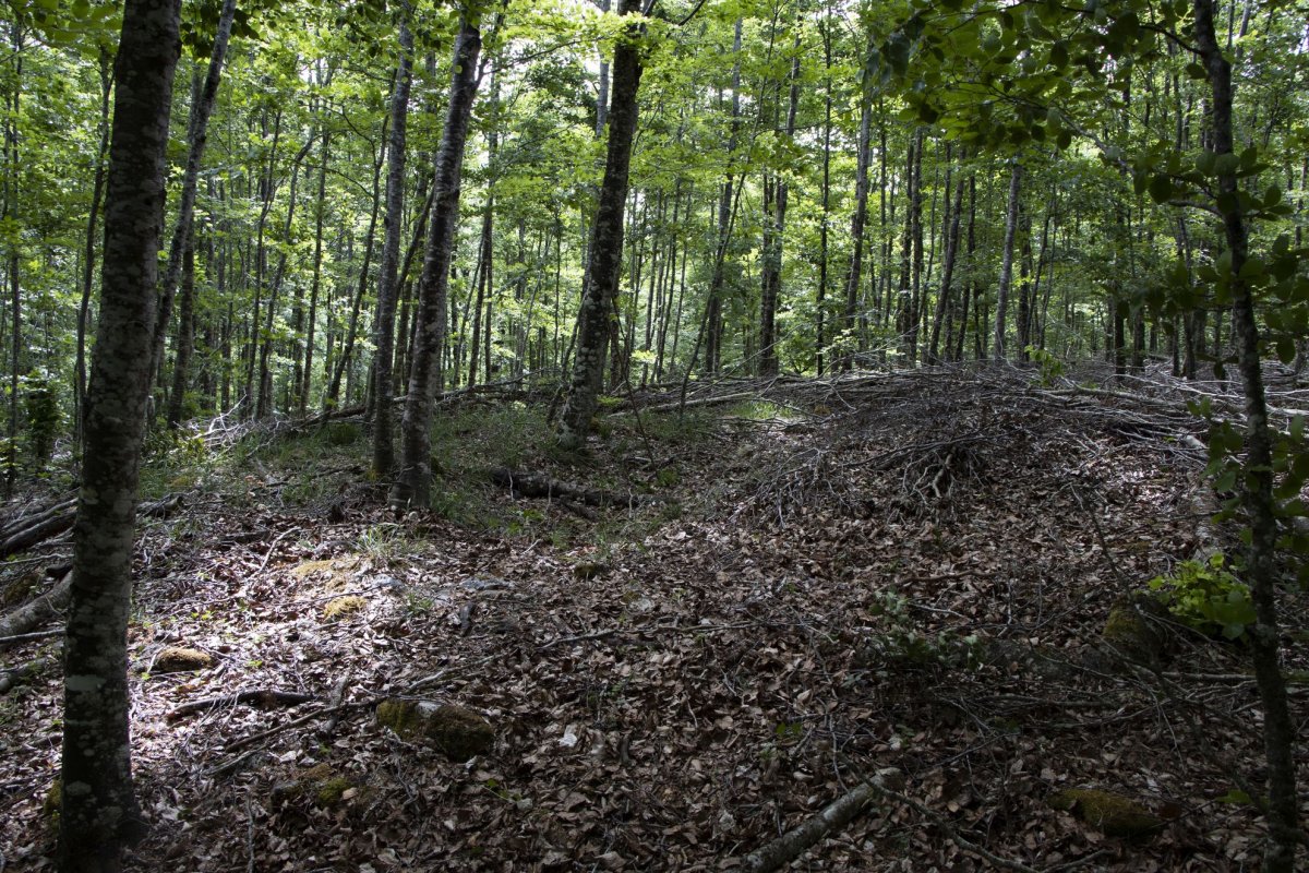Aitzgorri