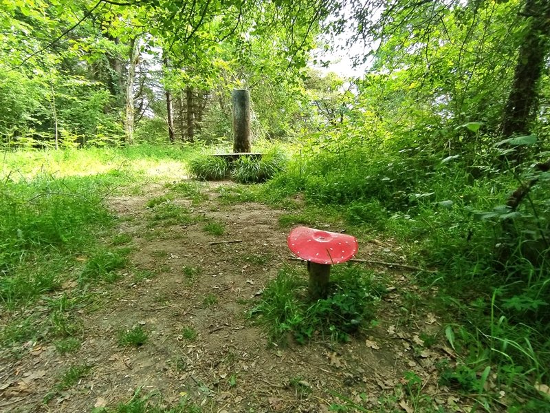 Tontorra