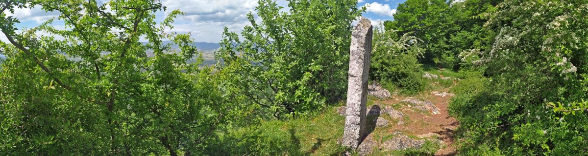 Tontorra