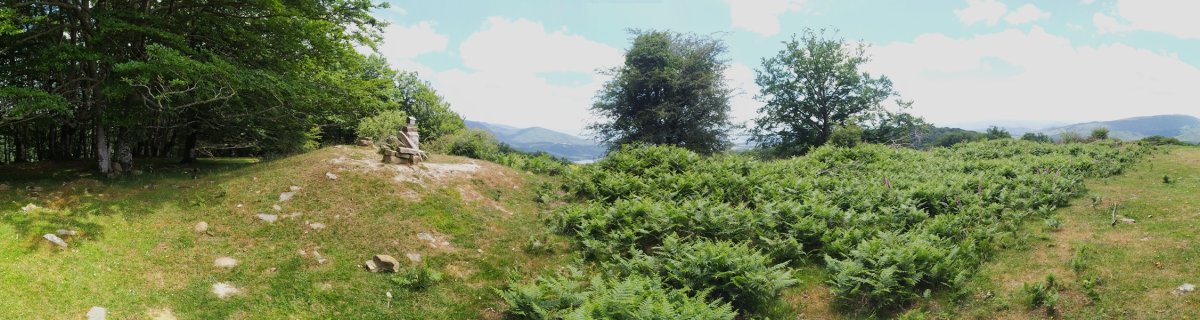 Tontorra