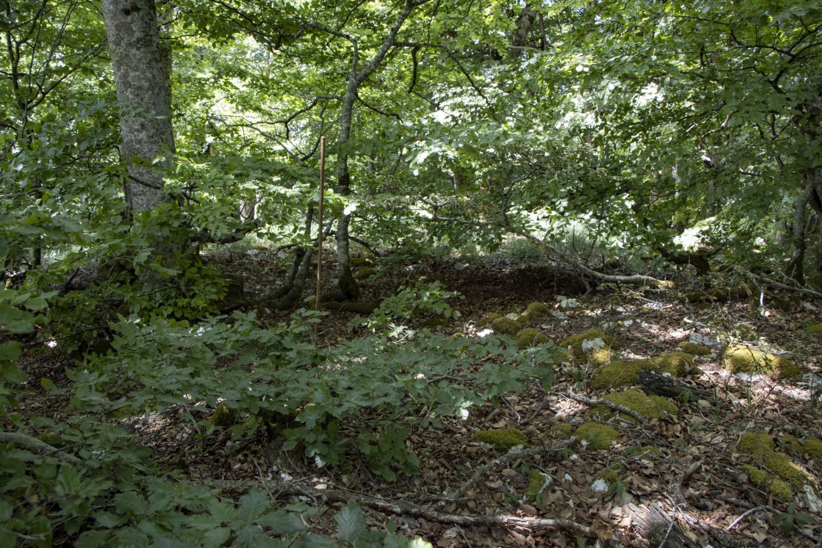 Ekaitza