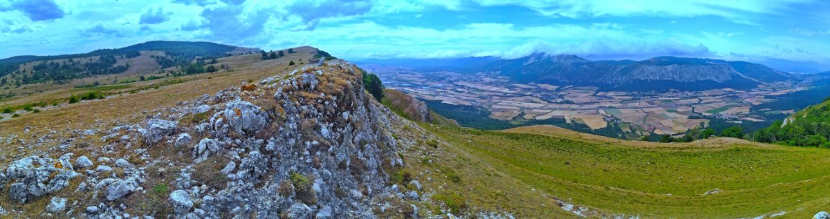 Tontorra