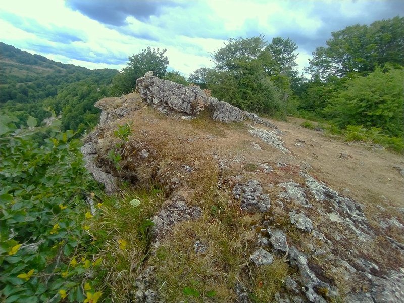 Tontorra