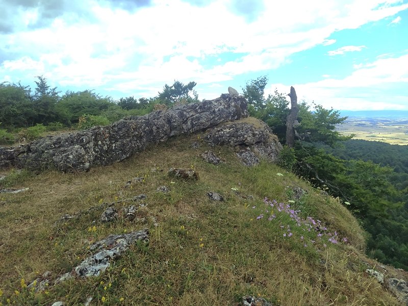 Tontorra