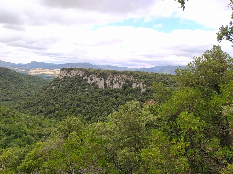 Aldosilla