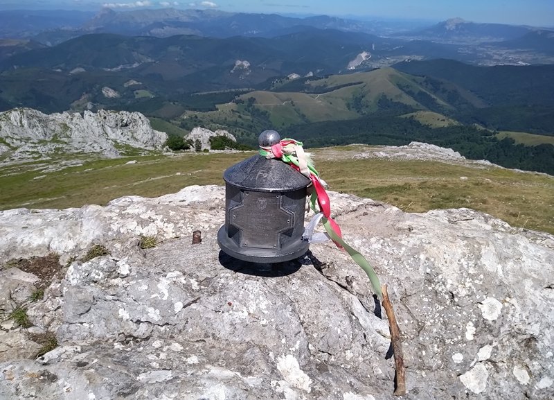 Buzoia