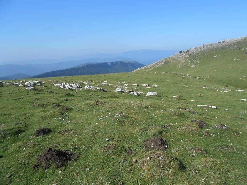 uelogoena 1