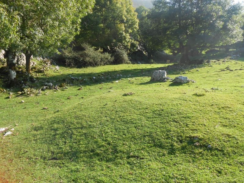 oidui