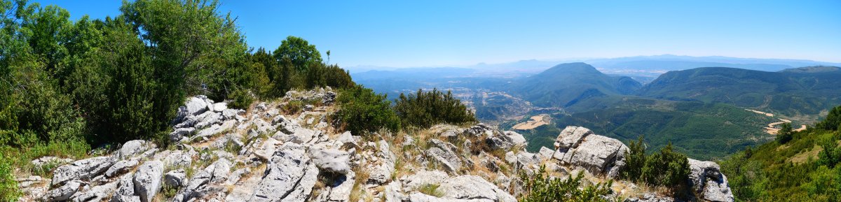 Tontorra, Borreguil
