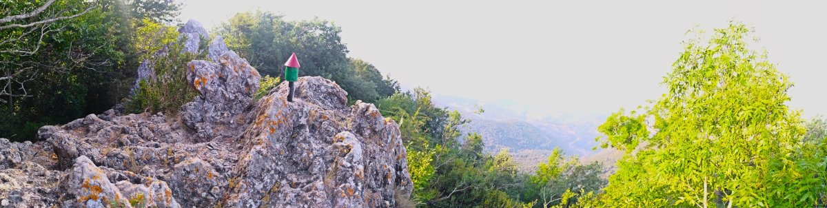 Tontorra