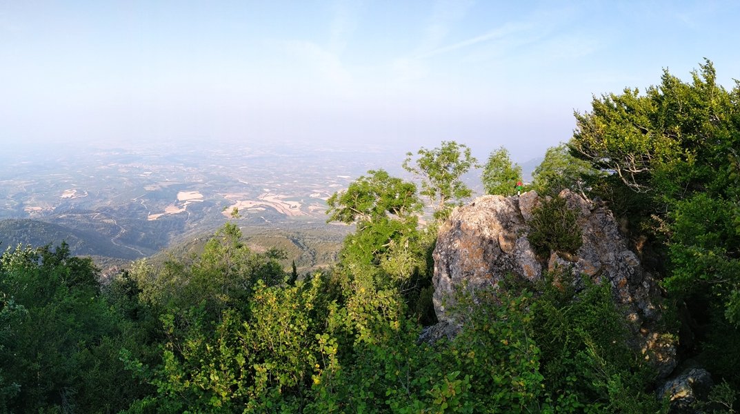 Tontorra