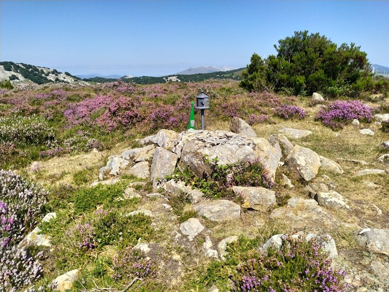 Tontorra