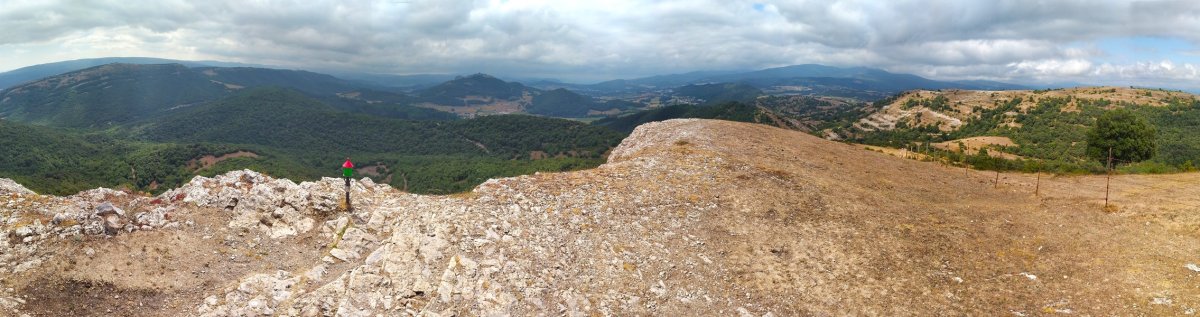 Tontorra
