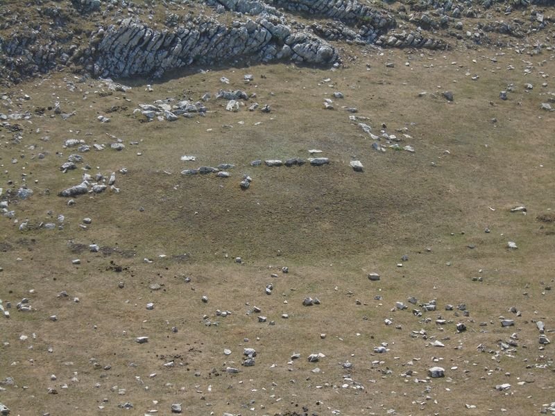 lurgorri