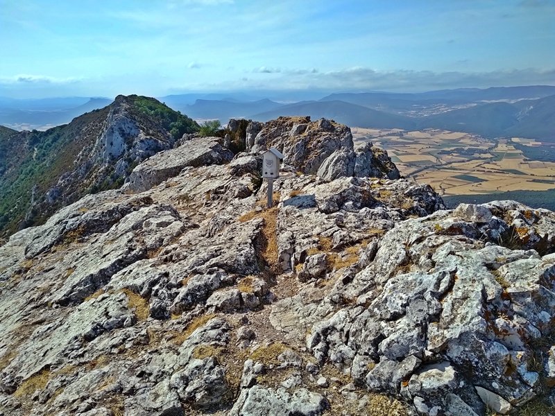 Tontorra