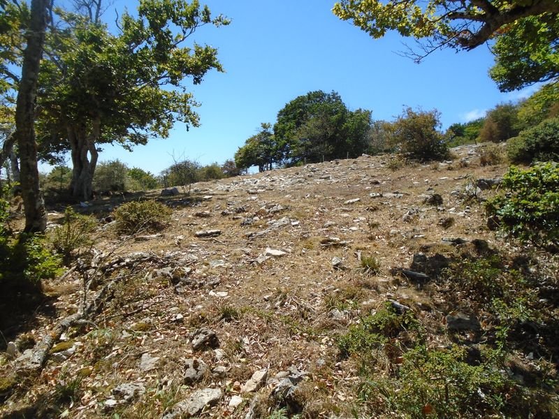 mugalarribel 1