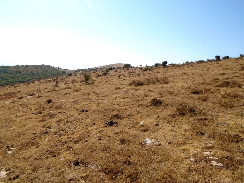 samurra