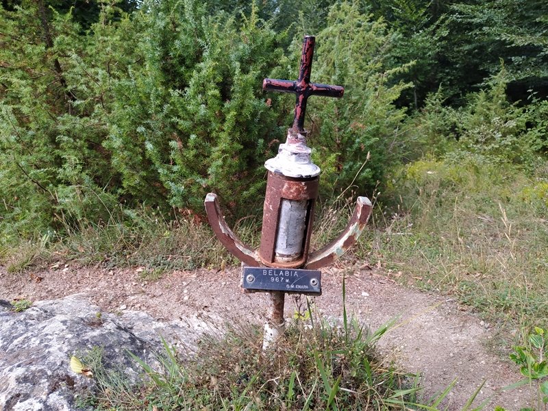Buzoia