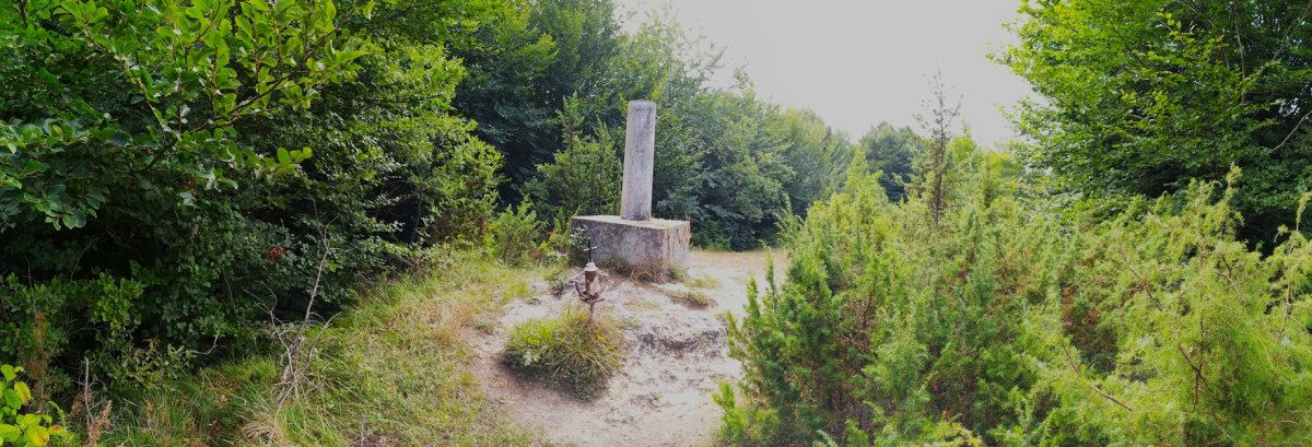 Tontorra