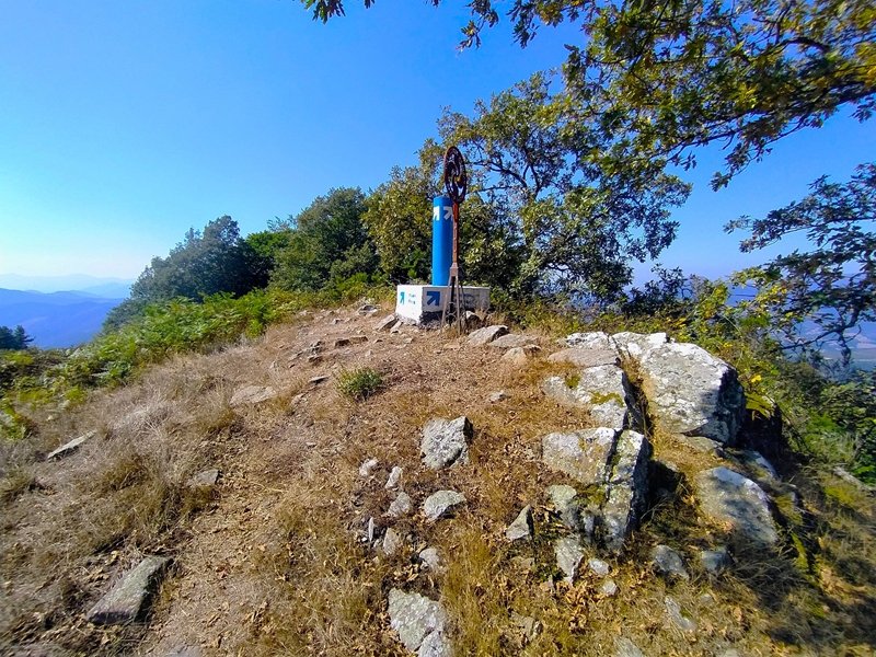 Tontorra
