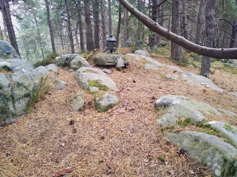 Tontorra