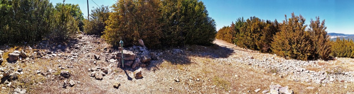 Tontorra