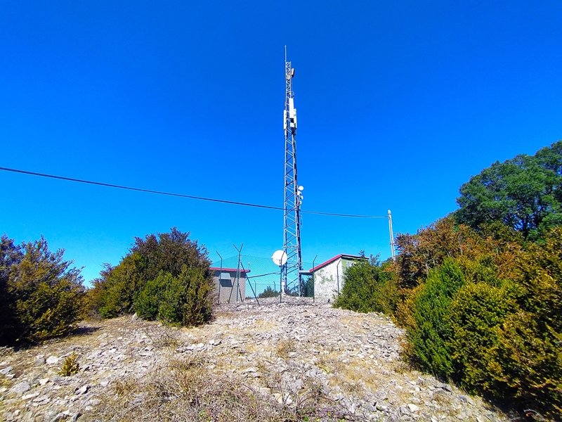 Tontorra