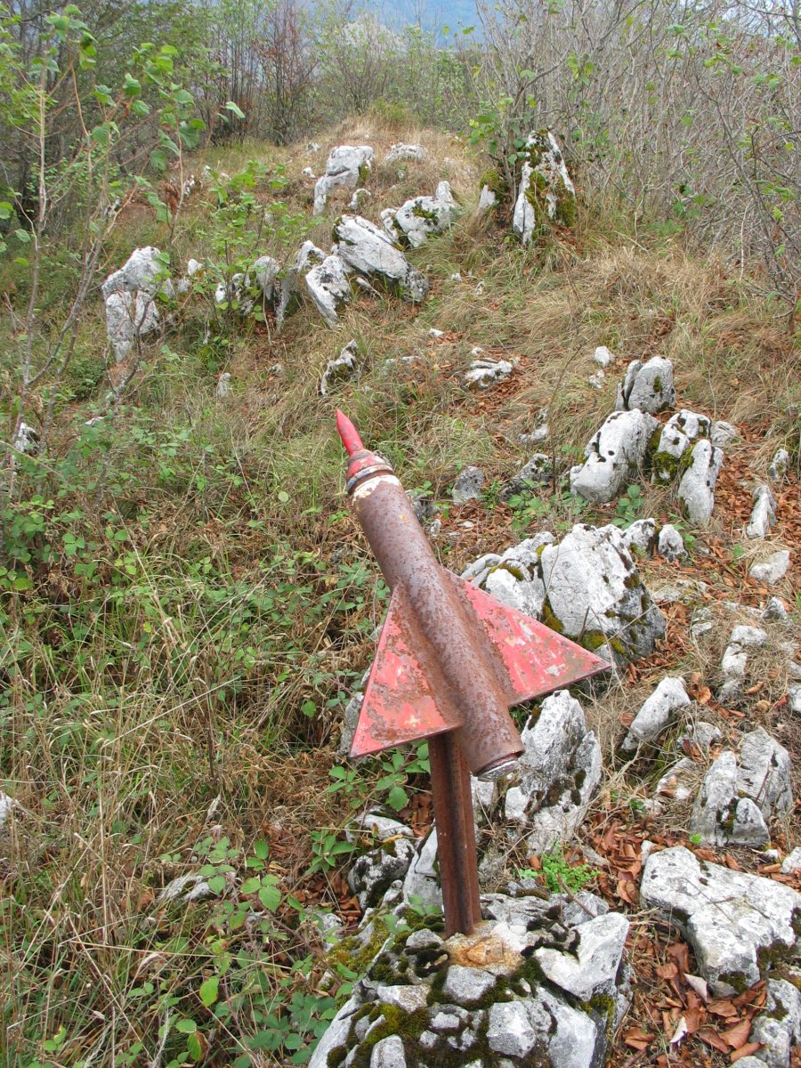 Buzoia eta tontorra