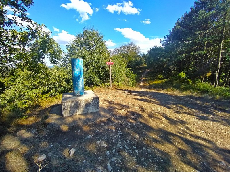Tontorra
