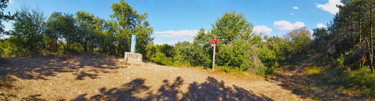 Tontorra