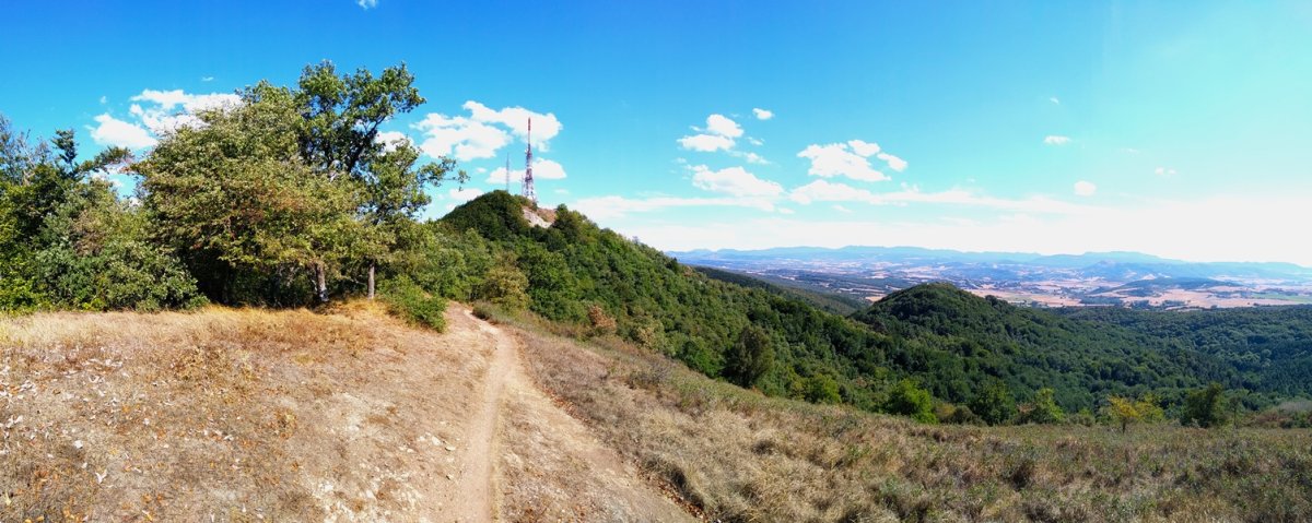 Zaldiaran